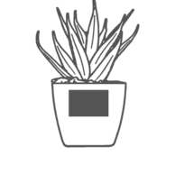 30 x 20 mm - On the Pot