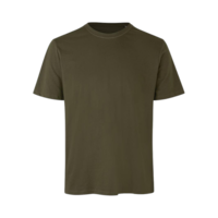 0552_olive_icon