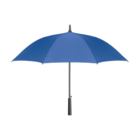 Bleu royal