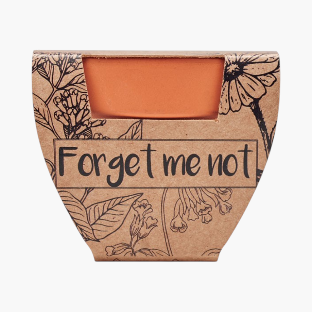 PDP - forgetmenotterracottapotforgetmenot square #F8F8F8 background