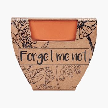 PDP - forgetmenotterracottapotforgetmenot square #F8F8F8 background