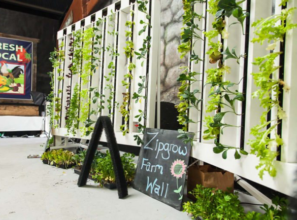 All-in-One-Display-and-Demonstration