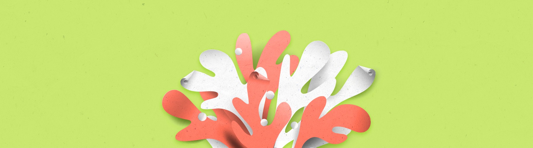 paper types
