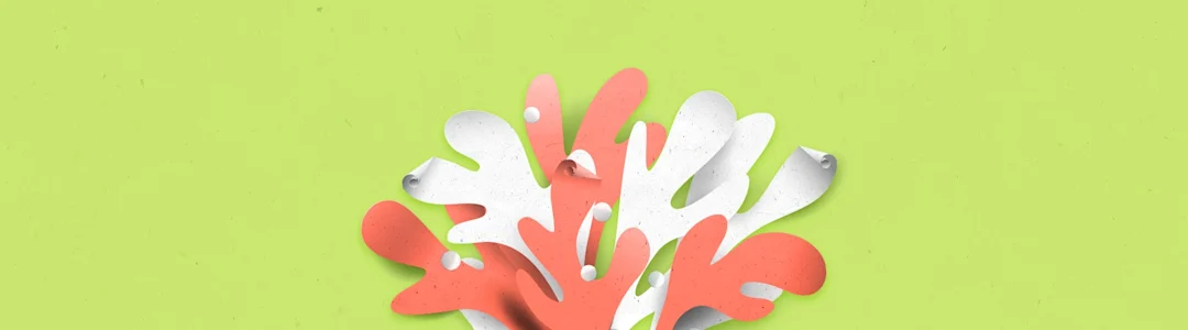 paper types