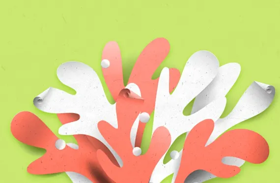paper types