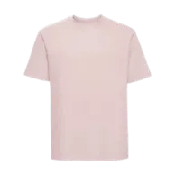 Powder Rose