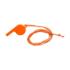 ICON - pswhistlejosh orange