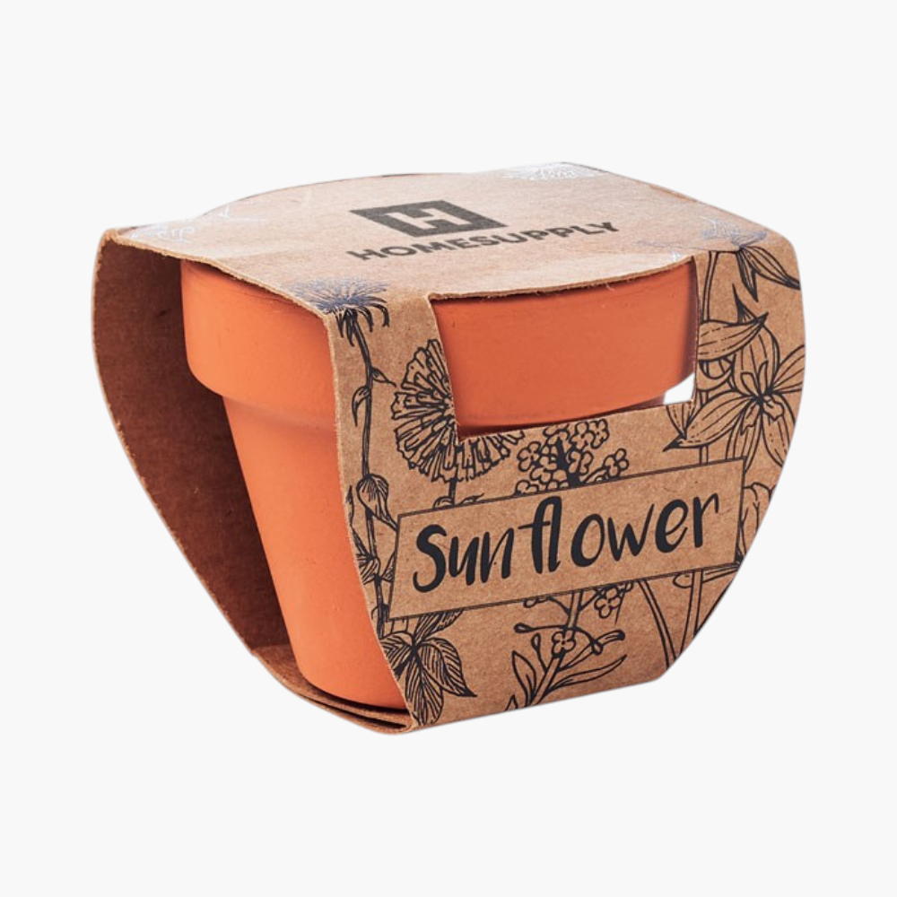 PDP - sunflowerterracottapotsunflower square #F8F8F8 background