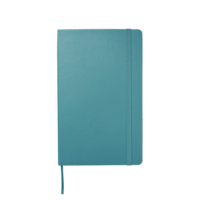 Reef Blue