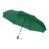 78. alex21.5foldableumbrella Groen