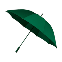 Vert foncé