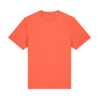 ICON - stanleystellatheunisexrelaxedtshirt fiesta
