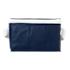 Spectrum 6-can cooler bag 4L navy