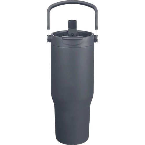 ICON - carnivalrecycledsiporswigtumbler30oz gray
