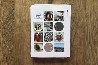 241807165_512405976495099_4322545631112806287_n