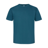 Petrol Blue