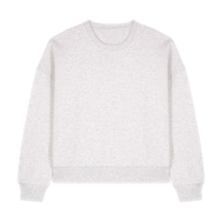 ICON - stanleystellathewomenscrewnecksweatshirt cool_heather_grey