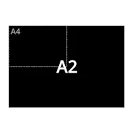 A2