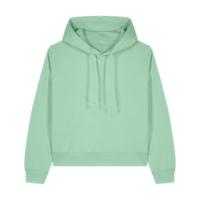 ICON - stanleystellathewomenshoodiesweatshirt misty_jade