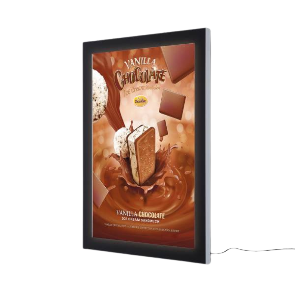 ledoutdoorpremiumpostercaseslim - A0