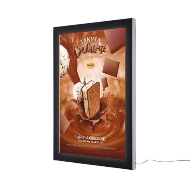 ledoutdoorpremiumpostercaseslim - A0