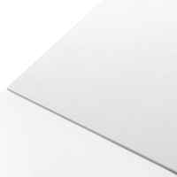 Premium Plus  300 gsm