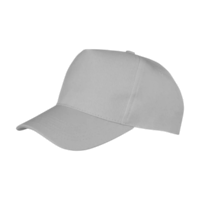 ICON - bostonprinterscap dove_grey