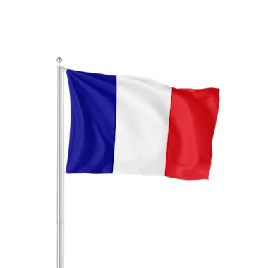 Drapeau du monde