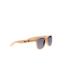 Allen Sunglasses