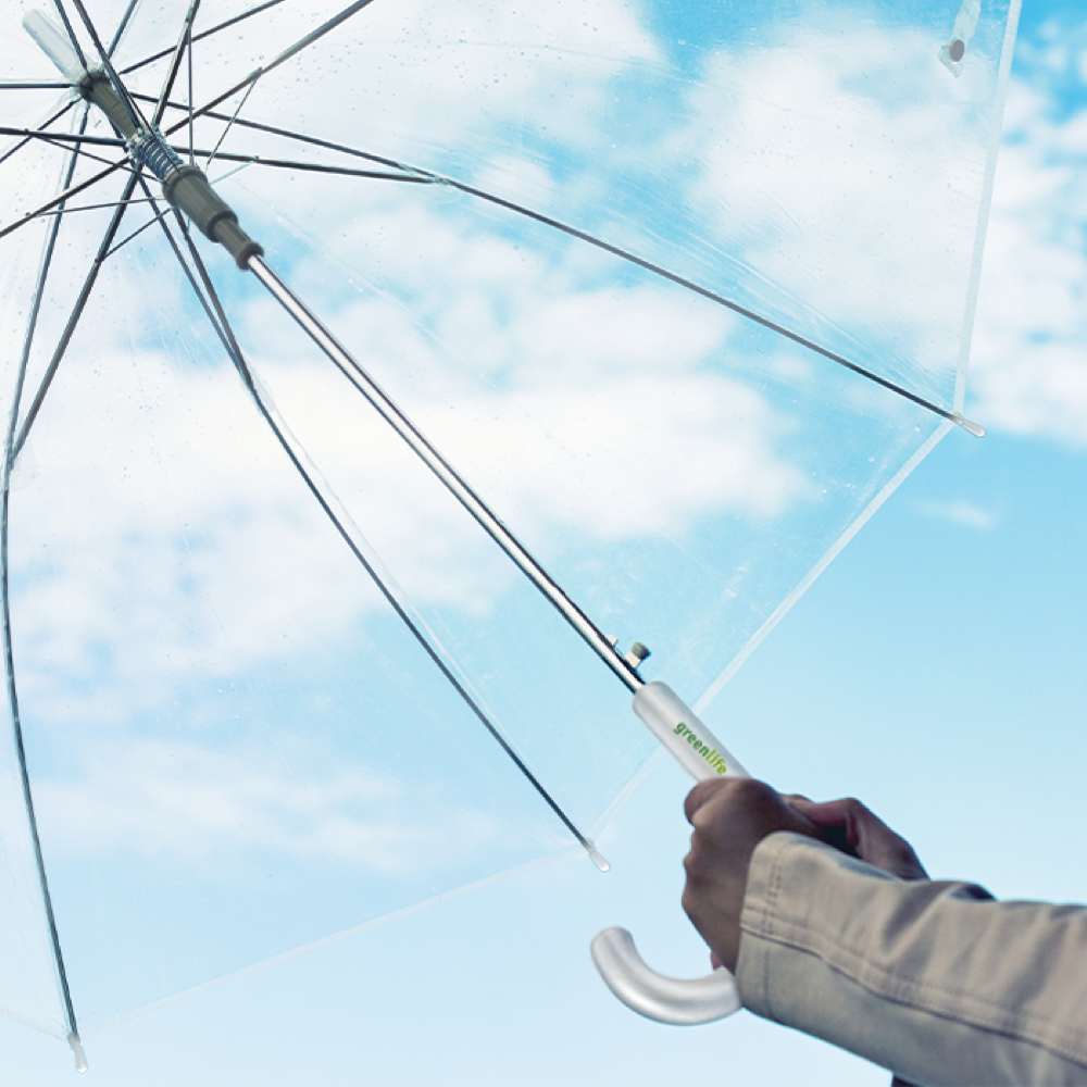 Kate 23- Transparent PDP Copy