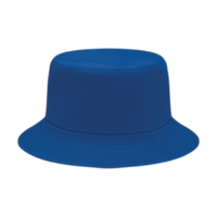Bleu royal