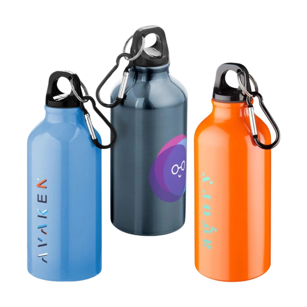 Oregon RCS Stainless Steel Water Bottle main image