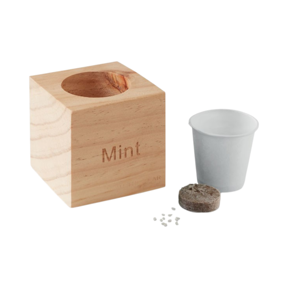 PDP - mentaherbpotwoodmint square #00000000 background