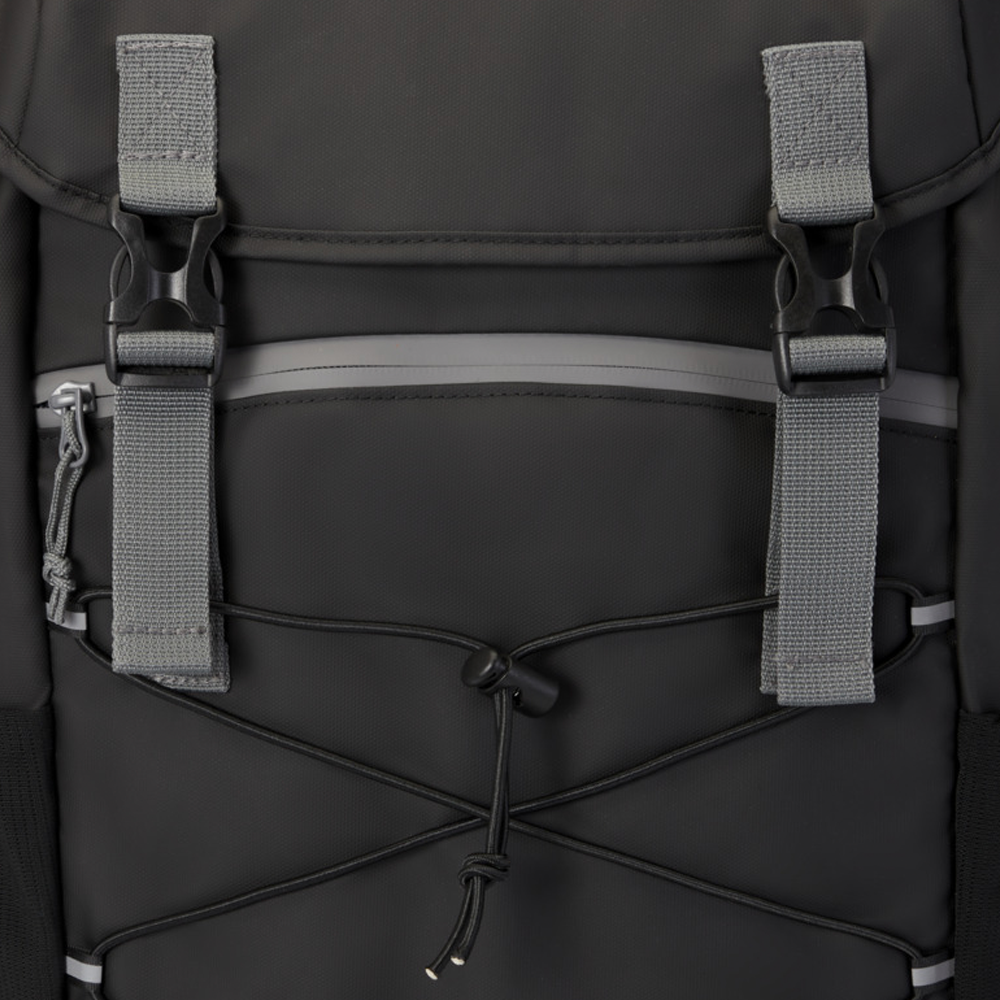 246. baikal15grsrpetlaptopbackpack8l Photo 1