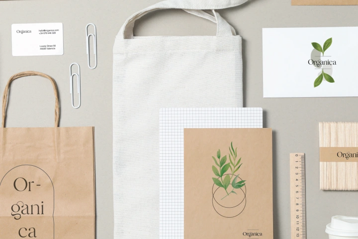 organica_online-01-1024x761