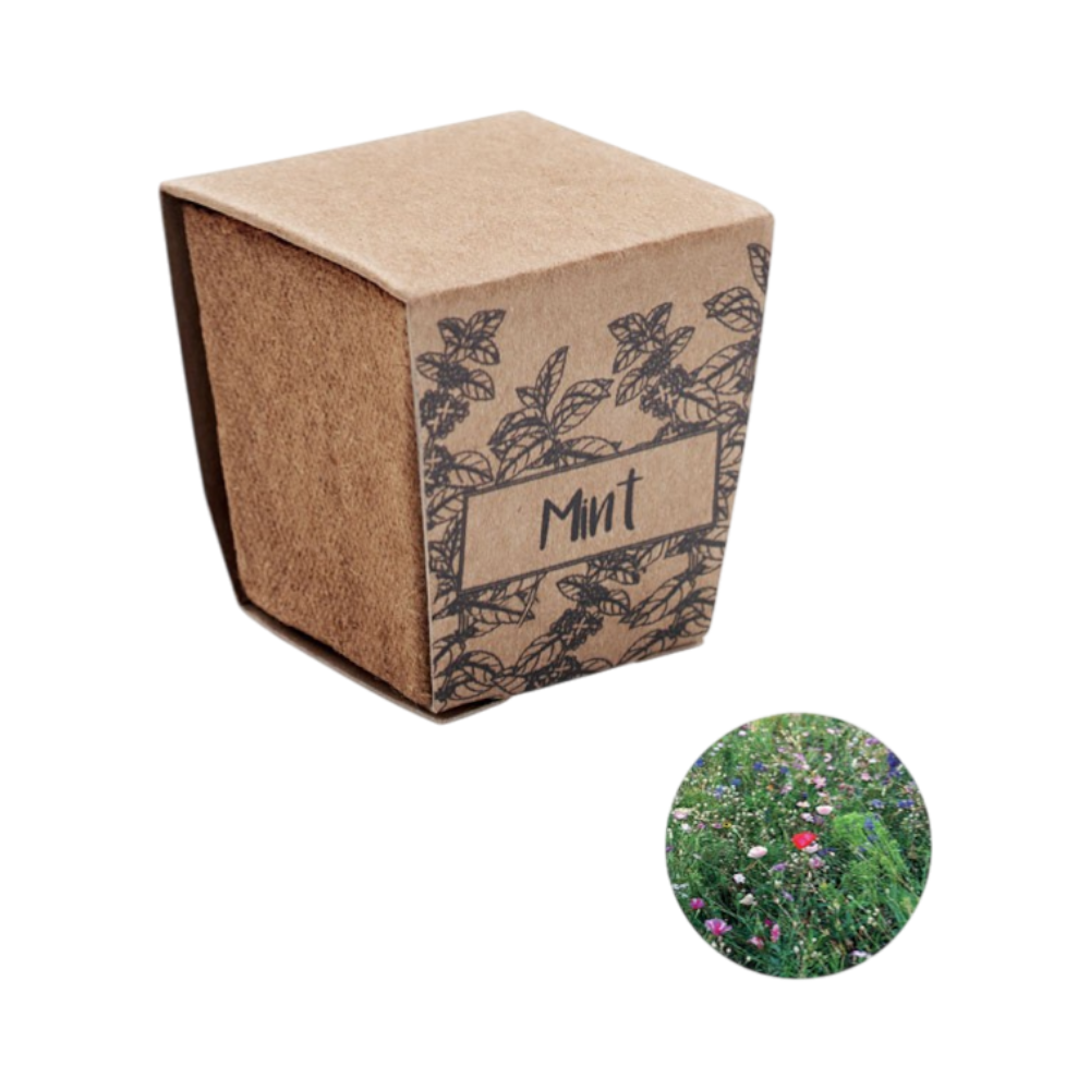 PDP - mintkitmintseedsgrowingkit square #00000000 background
