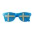 ICON - flagfunglassescountry blue