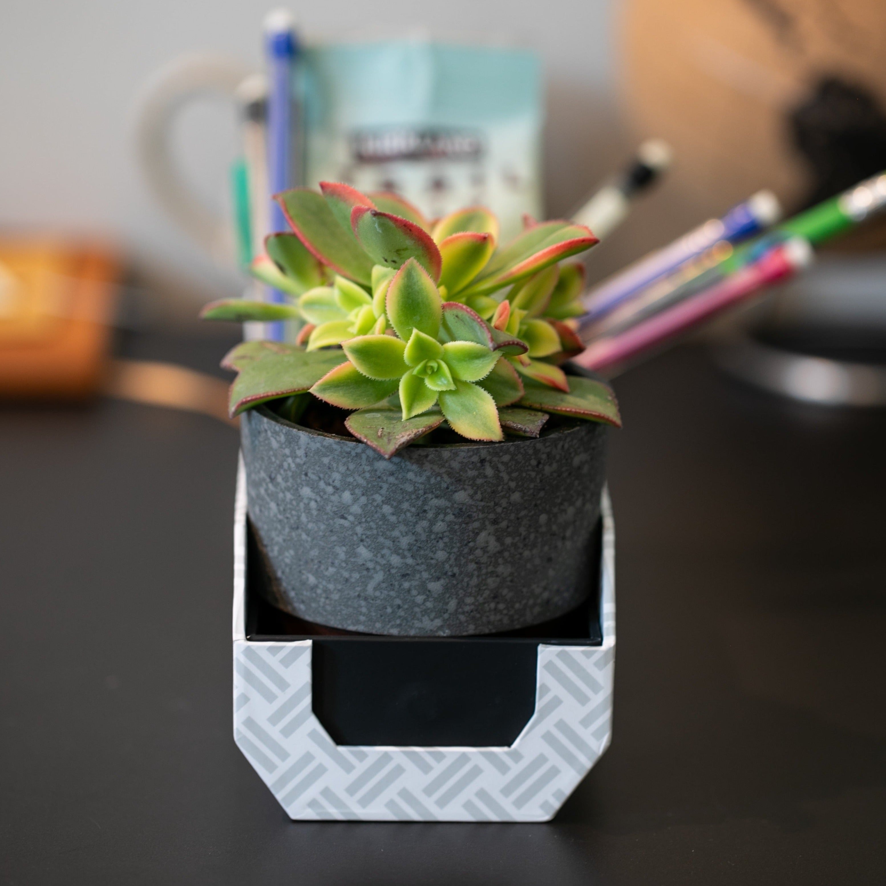 boomz5wportablespeaker