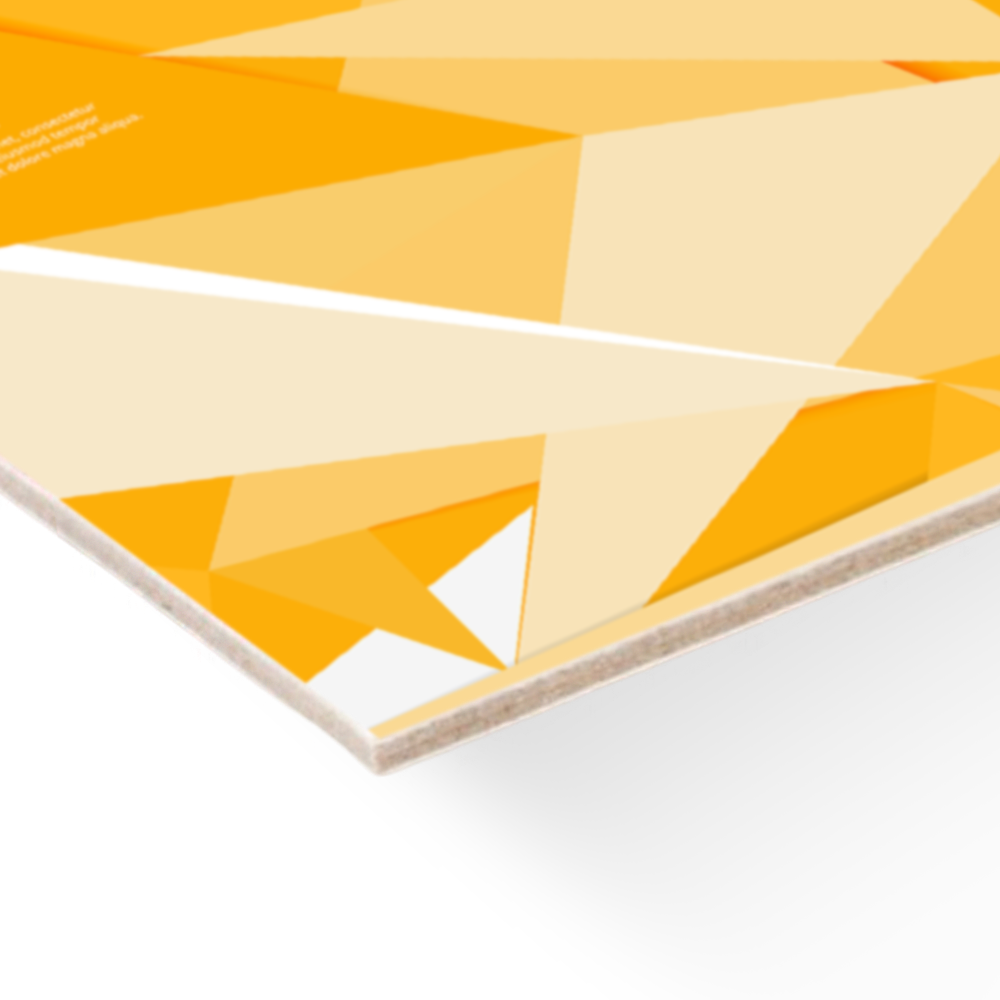 Cardboard