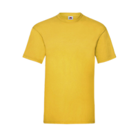 Budget Unisex Classic Fit Round Neck T-shirt ICON sunflower