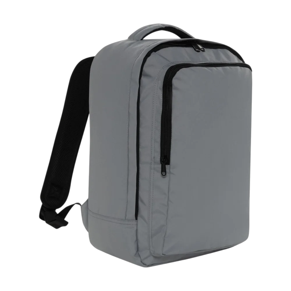 ICON - aceawarerpetfreeonboardtravelpack grey