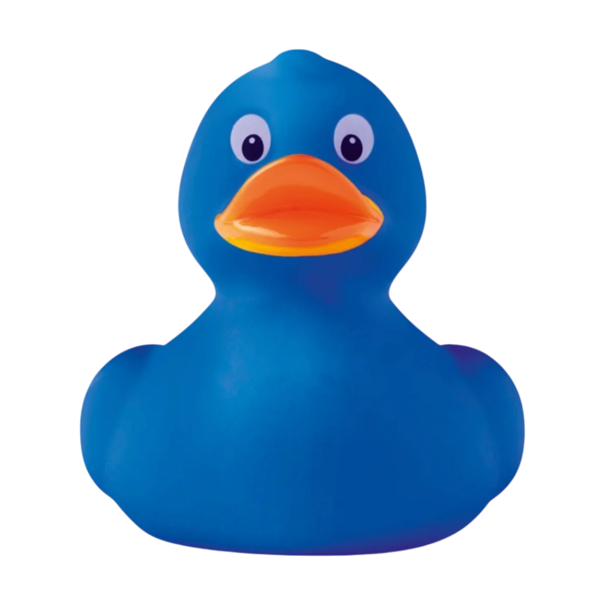 PVC Duck main image