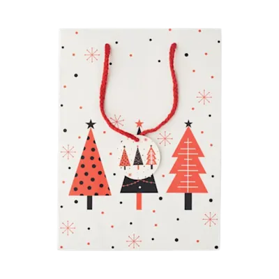 BOSSA MEDIUM Recycled Gift Paper Bag