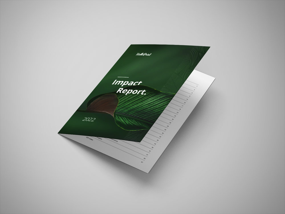 It’s finally here: our first annual impact report