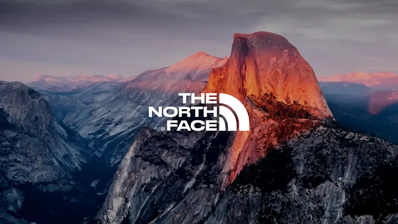 The North Face image