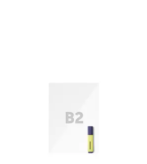 B2 Format