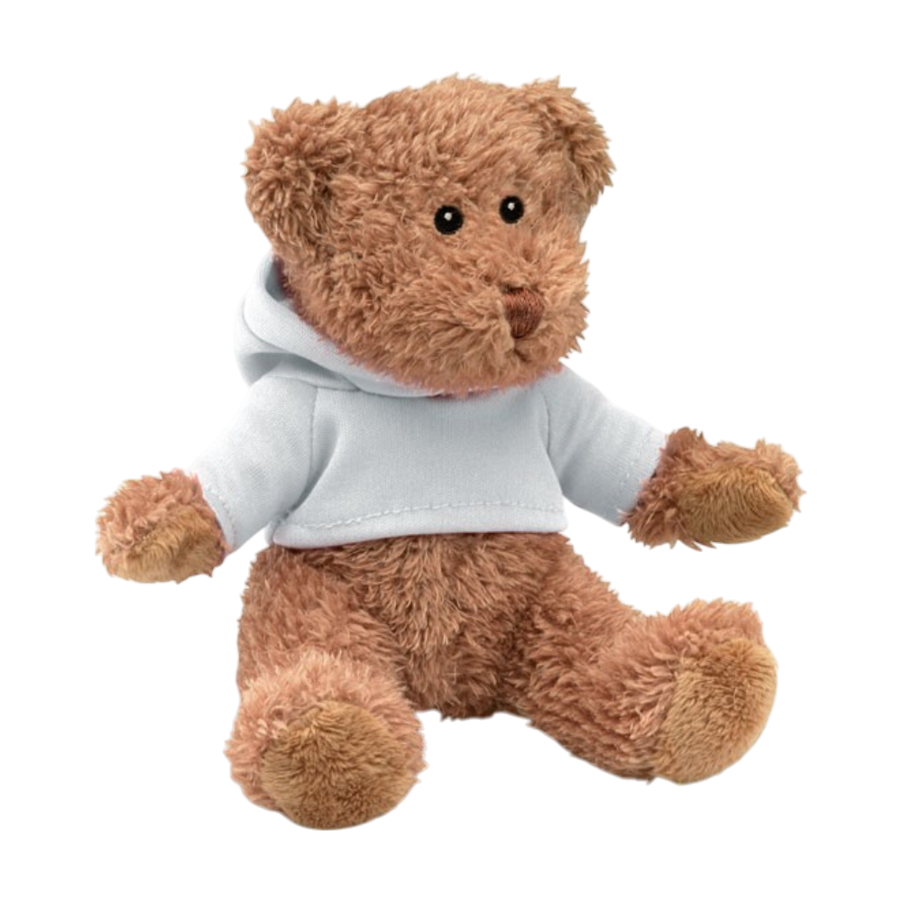 ICON - teddybeermetsweatshirt white