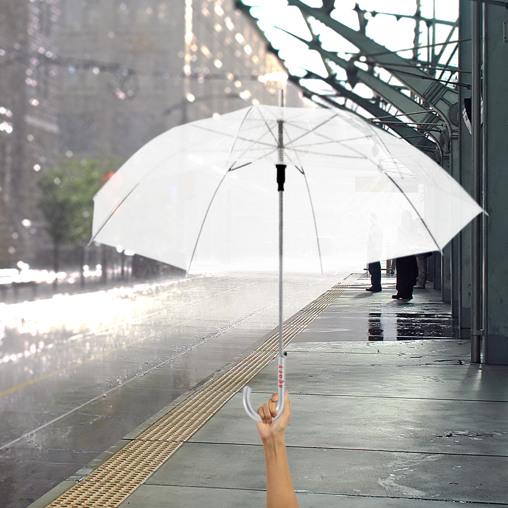 Kate 23- Transparent PDP