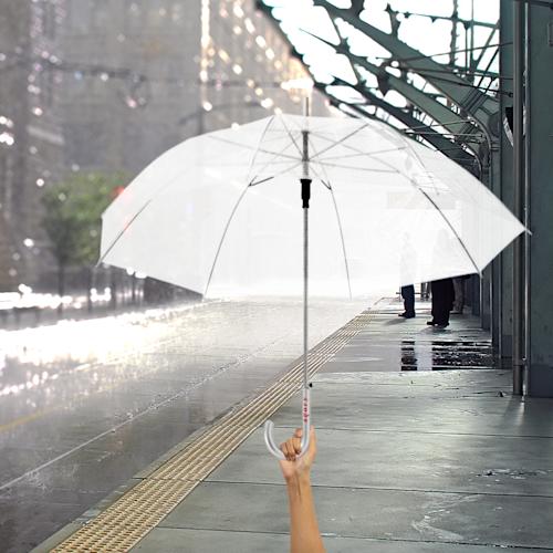 Kate 23- Transparent PDP