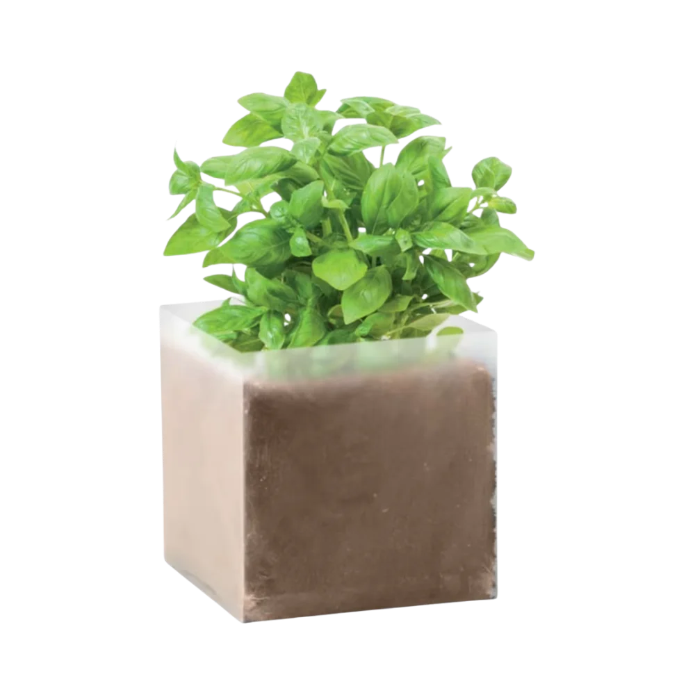 PDP - basilcompostwithseedsbasil square no-background